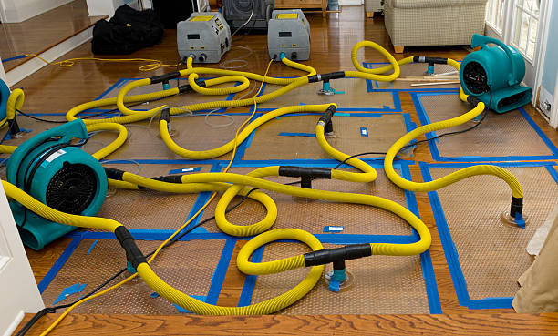 Professional Structural Drying And Dehumidification technician working in Half Moon Bay, CA